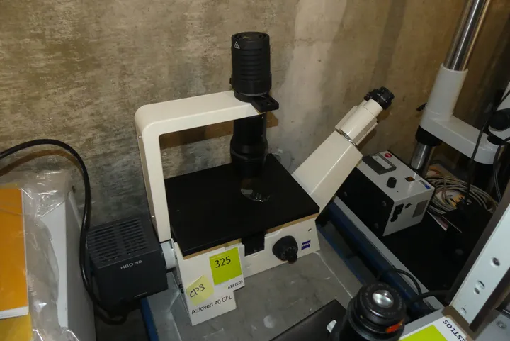 Zeiss Axiovert 40 CFL Mikroskop